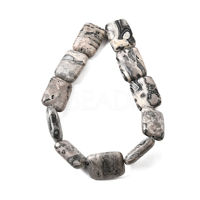 Natural Map Stone Beads Strands G-S386-A13-1