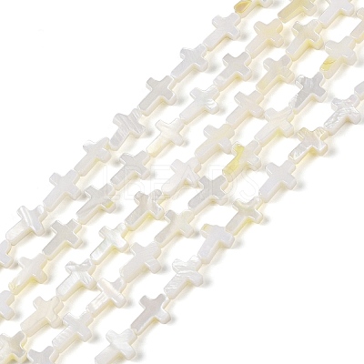 Natural Freshwater Shell Beads Strands BSHE-G036-05A-1