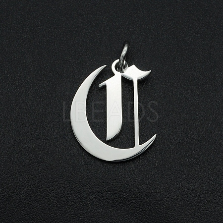 Non-Tarnish 304 Stainless Steel Pendants STAS-R111-JA565-C-1