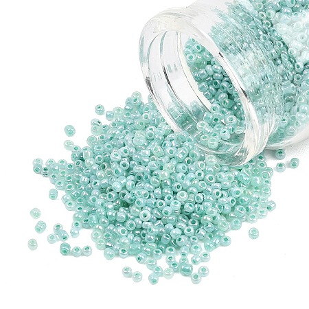 Glass Seed Beads SEED-XCP0001-48-1