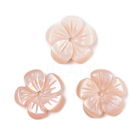 Natural Pink Shell Carved Beads SSHEL-I026-12B-02-1