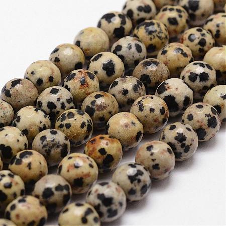 Natural Dalmatian Jasper Beads Strands G-D840-49-10mm-1