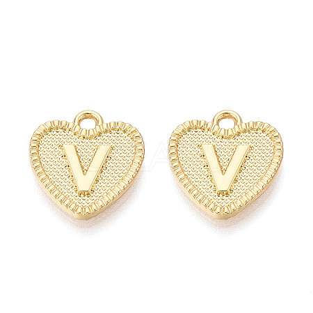 Alloy Pendants PALLOY-N157-001V-NR-1