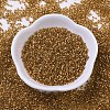 MIYUKI Delica Beads X-SEED-J020-DB0181-2
