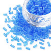Transparent Glass Bugle Beads SEED-N005-001-C10-1