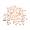 6/0 Opaque Glass Seed Beads SEED-P005-A12-1