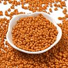 Baking Paint Glass Seed Beads SEED-K009-01A-24-2