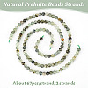 2 Strands Natural Prehnite Beads Strands G-OC0004-73-4