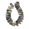 Natural Indian Agate Beads Strands G-B064-B29-3