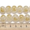 Handmade Lampwork Beads Strands LAMP-L079-05A-4