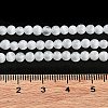 Cat Eye Beads Strands X-CE-F022-4mm-15-5