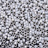 MIYUKI Delica Beads SEED-X0054-DB0221-4
