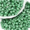 Baking Paint Pearlized Glass Seed Beads SEED-T008-03R-1