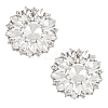 2Pcs Alloy Rhinestone Shoe Decorations AJEW-FG0003-72A-1