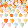 Acrylic Heart Pendants PALLOY-PH01691-1