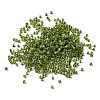 Cylinder Glass Seed Beads GLAA-NH0005-01H-2