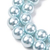 Electroplated Shell Pearl Beads Strands BSHE-G041-12mm-03-3