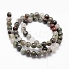 Natural African Bloodstone Beads Strands G-G735-32-8mm-2