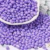 6/0 Opaque Baking Paint Glass Seed Beads SEED-M012-02A-09-1