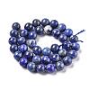 Natural Lapis Lazuli Round Bead Strands X-G-E262-01-10mm-8