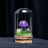 Glass Dome Cover with Natural Amethyst Mushroom Inside BOHO-PW0001-085M-1
