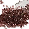 TOHO 6/0 Round Beads X-SEED-TR06-0746-1