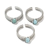 Natural Larimar Adjustable Rings RJEW-K269-12P-07-1