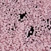 TOHO 11/0 Round Beads SEED-XTR11-0145-2