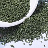 MIYUKI Delica Beads SEED-MY11-DB1135-1