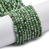 Natural Variscite Beads Strands G-G188-B05-03-1