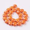 Faceted Glass Beads Strands EGLA-P015-NA-3