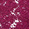 Baking Paint Glass Seed Beads SEED-S042-05B-70-3