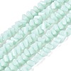 Opaque Glass Beads Strands GLAA-N019-3mm-14-1