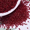 MIYUKI Delica Beads SEED-X0054-DB0602-1