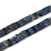 Natural Lapis Lazuli Beads Strands G-Z045-A11-01-1