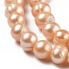 Natural Cultured Freshwater Pearl Beads Strands PEAR-L033-17A-2