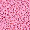 Opaque Glass Seed Beads SEED-N012-09A-11-3