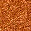 TOHO Round Seed Beads SEED-JPTR15-0030B-2