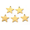 PVD Vacuum Plating 304 Stainless Steel Charms STAS-N092-67G-1
