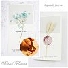 DIY Scrapbook AJEW-CP0001-01D-4