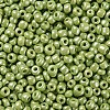 8/0 Glass Seed Beads SEED-A012-3mm-124-2