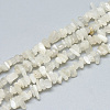 Natural White Moonstone Beads Strands G-S315-34-1