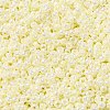 MIYUKI Round Rocailles Beads X-SEED-G009-RR0486-2