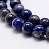 Natural Lapis Lazuli Beads Strands G-A163-07-12mm-3