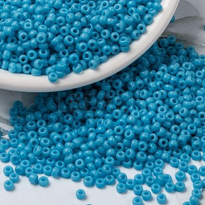 MIYUKI Round Rocailles Beads SEED-G008-RR0413-1