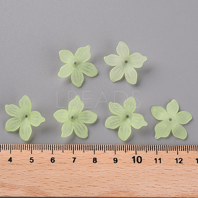 Frosted Acrylic Bead Caps MACR-S371-05A-728-1