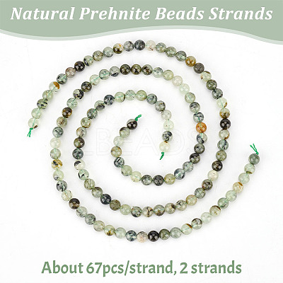 2 Strands Natural Prehnite Beads Strands G-OC0004-73-1