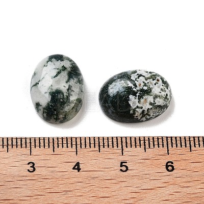 Natural Tree Agate Cabochons G-G145-01B-54-1