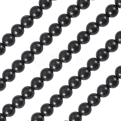 1 Strand Natural Shungite Beads Strands G-TA0003-34B-1