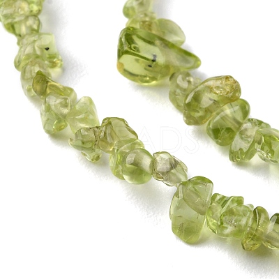 Natural Peridot Beads Strands G-G0003-B27-1